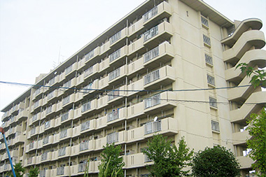 写真：県営新田住宅